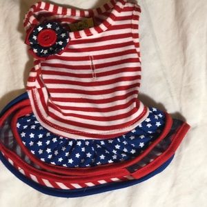 4th of July themed dog dress
